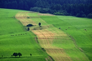 Beskid Niski