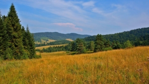 Beskid Niski