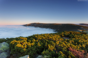 Morze chmur w Karkonoszach