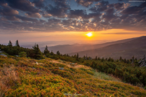 Widok ze Szrenicy