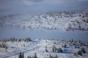 Karkonosze