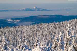 Karkonosze