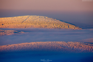 Karkonosze