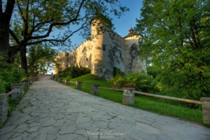 Zamek Dunajec       