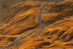 Transalpina