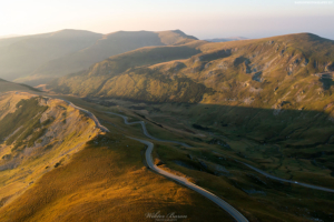 Transalpina