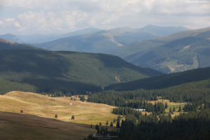 Transalpina