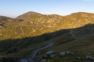 Transalpina