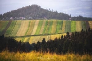 Łąki i pola w Dursztynie  