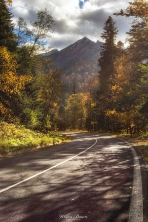 Droga w Tatrach 