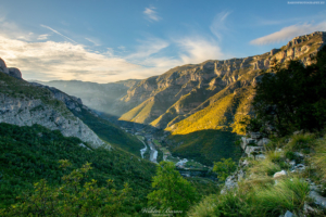 TAMARE-ALBANIA-2