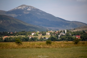 Šuica - Bośnia i Hercegowina
