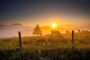 Wschód słońca na Magurze Spiskiej - Pastwiska w Lechnicy 