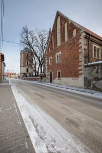 Kościół Narodzenia NMP w Wiślicy (3)         
