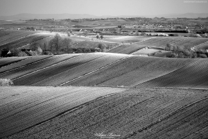 Fotografia Czarno Biala - Pola i Laki na Ponidziu