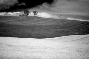 Fotografia Czarno Biala - Pola i Laki na Slowacji