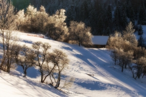 Beskid Sadecki (25)