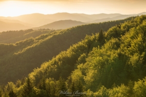 Beskid Sadecki Wiosna