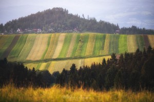 Fotografia Górska - Dursztyn Pieniny Spiskie