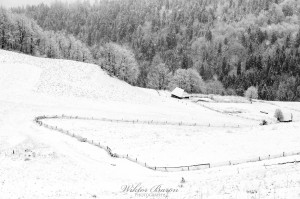 Fotografia Górska - Karpaty (6)