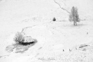 Fotografia Górska - Karpaty (7)