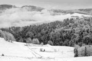 Fotografia Górska - Karpaty (8)