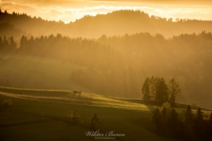 Fotografia Górska - Krajobraz Pienin