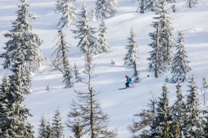 Fotografia Górska - Narciarz w Karkonoszach