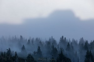 Fotografia Górska - Szrenica w Mgle