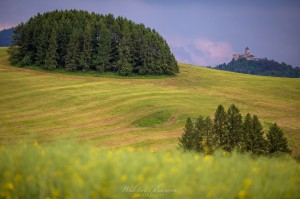 Fotografia Górska - Zamek w Starej Lubowli