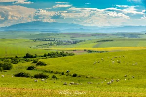 Fotografia Górska Góy Lewockie