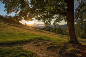 Fotografia Górska  (13)