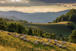 Fotografia Górska  (14)