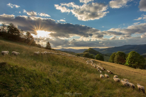 Fotografia Górska  (15)