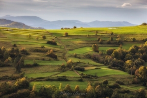 Góry - Beskid Sądecki (2)