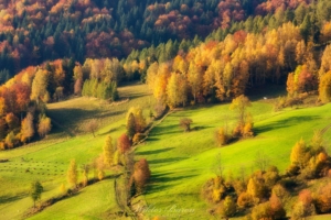 Góry - Beskid Sądecki (4)