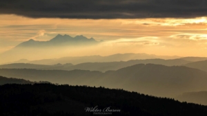 Góry - Beskid Sądecki (5)