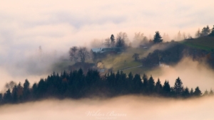 Krajobraz Górski - Beskid Wyspowy