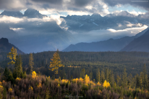 Tatry