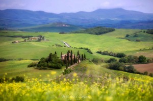 Wiosenne pola w Toskanii          